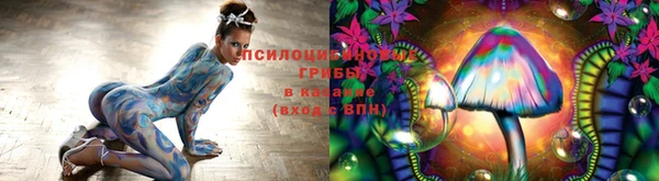 кокс Верея