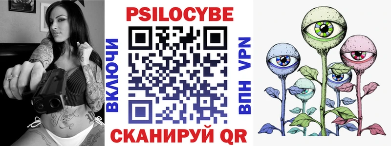 закладки  mega ССЫЛКА  Псилоцибиновые грибы Magic Shrooms  Великий Новгород 